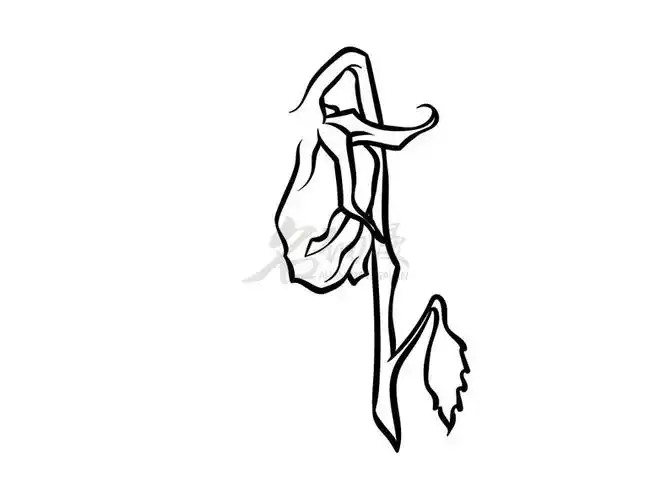 干枯玫瑰绘画图文教程