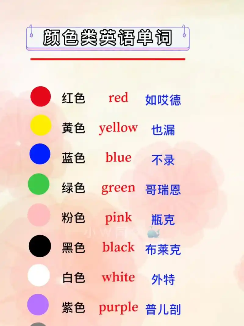 「颜色类英语单词」 学习 零基础学英语 英语单词 知识分享