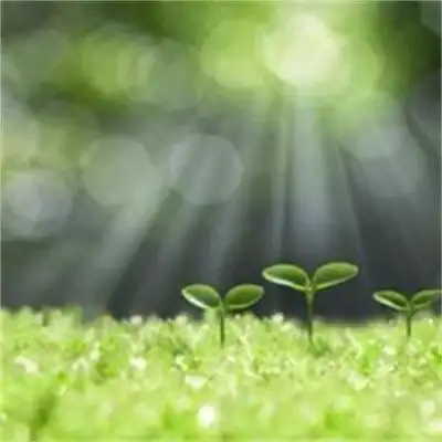 阳光明媚的图片唯美心情 超治愈的最新风景微信图片_风景头像_美头网