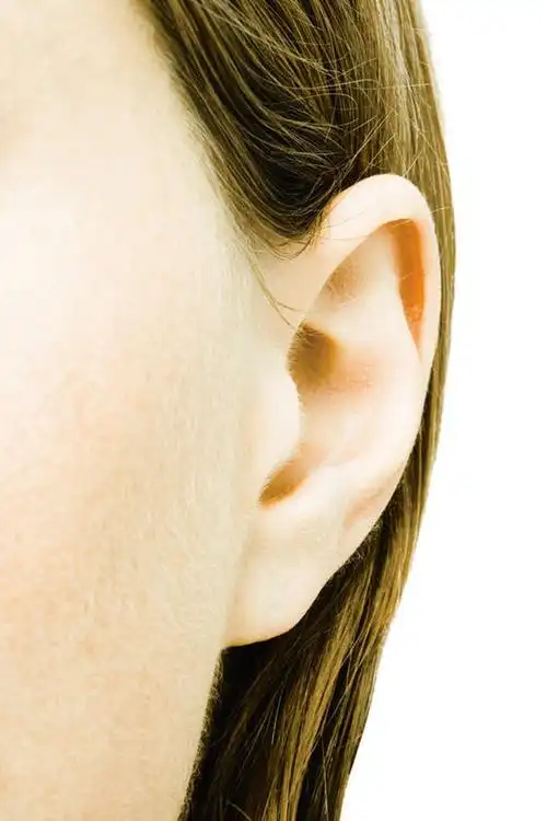 西方人,耳朵,一个人,竖图,室内,特写,白天,白色背景,正面,欧洲,欧洲人