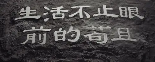 生活不止眼前的苟且,还有未来的苟且!