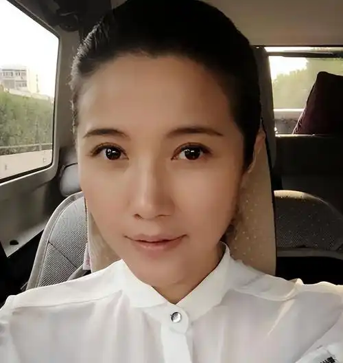 13年颜丙燕凭借一部戏获得7项影后如今为何沦落到无戏可拍