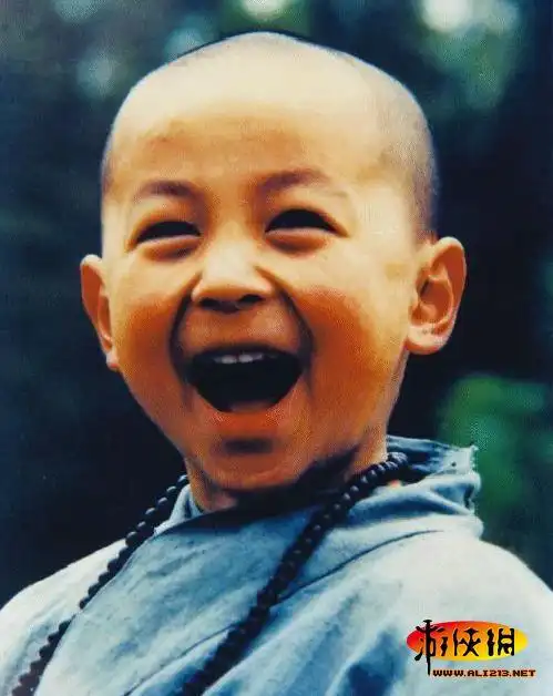 入榜理由:小时候的释小龙那叫一个可爱啊,加上小光头萌点十足,单纯