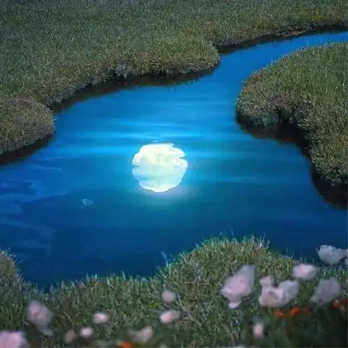 四十岁女人淡雅气质头像图片 高清40岁女人有气质的微信头像_女生微信