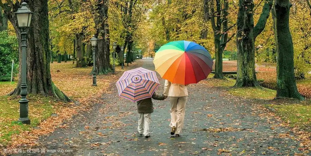 背影上的母亲和儿子带着五颜六色的伞,手牵着手走在雨中的小路上,穿过