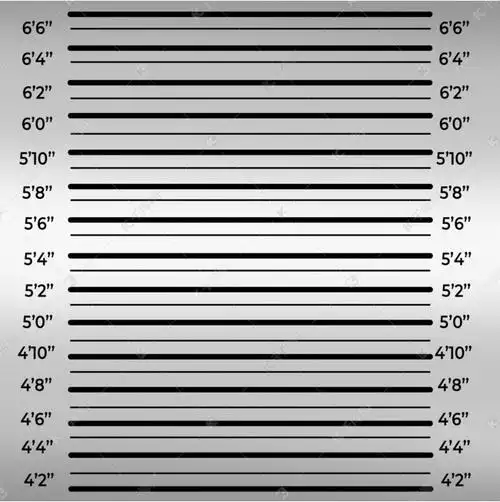 黑灰色英尺单位纹监狱背景