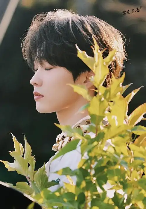 连淮伟未来可期