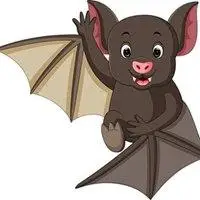 拿大刀蝙蝠头像图片大全点击鼠标右键下载