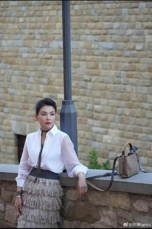 刘涛优雅知性大气的美