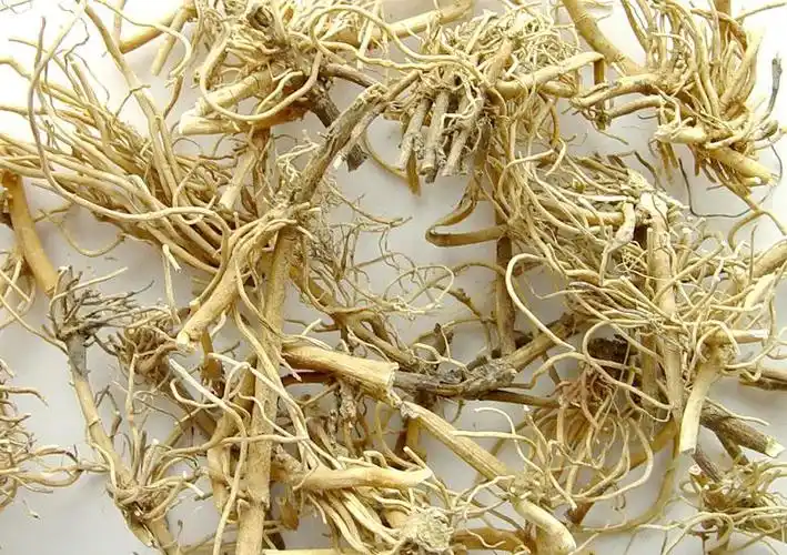 白前 统货 过筛 饮片 别名:芫花叶白前,石蓝,嗽