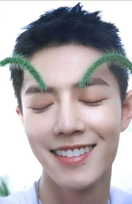 肖战自绘生日贺图还有高清怼脸拍摄,粉丝:想做他脸上的狗尾巴草