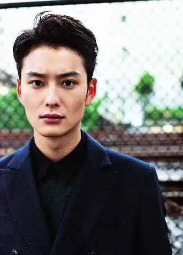 有哪些日本男明星比较符合中国的大众审美?