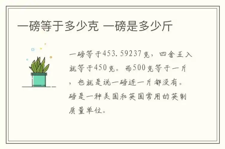 一磅等于多少克一磅是多少斤