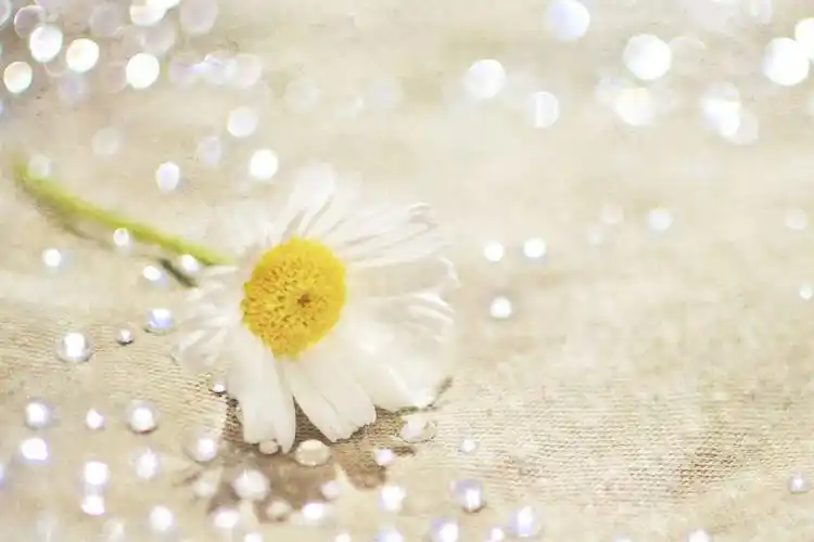 > 暖色治愈系唯美图片高清电脑壁纸 第一辑(1280×800)