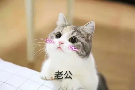 沉迷老公系列表情包