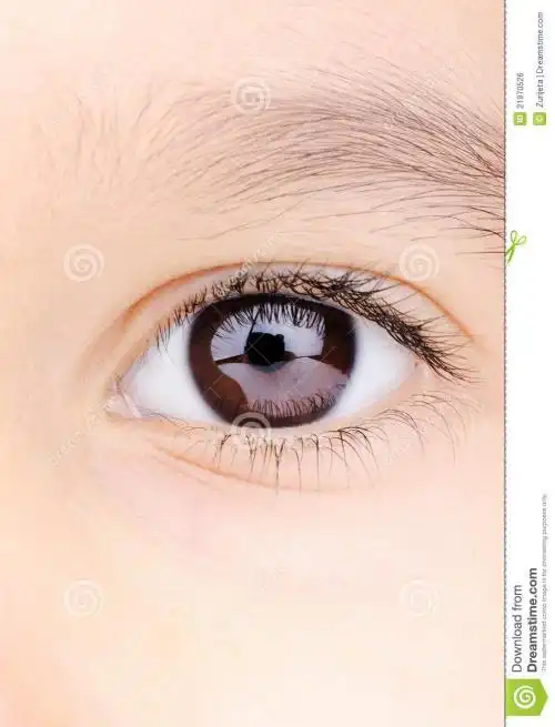 请保护好你的眼睛