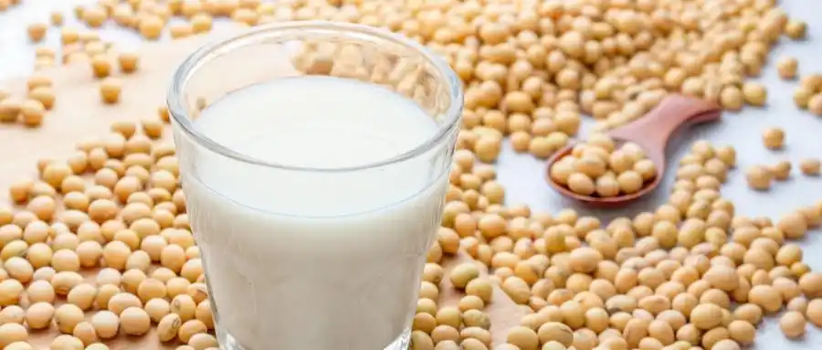 贵阳早点豆浆油条培训班哪里有