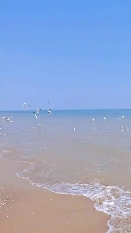 这个春天的大海看起来真清爽_新浪新闻