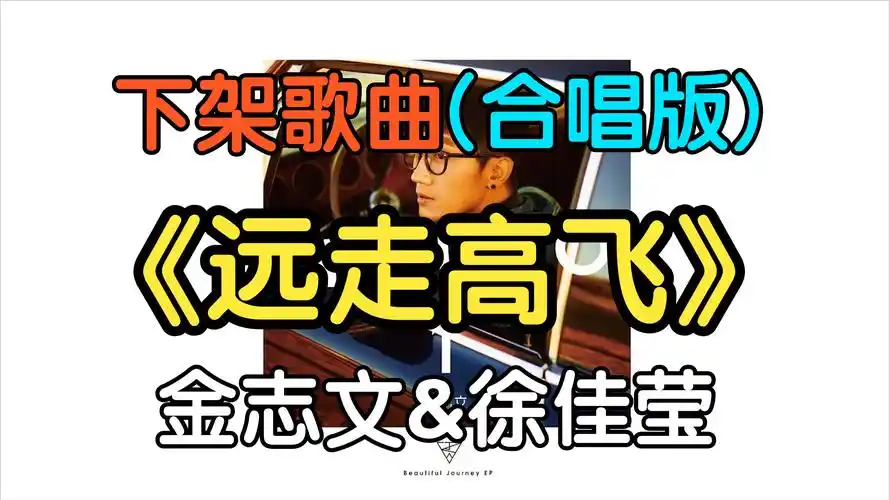 『无损』《远走高飞》金志文&徐佳莹 (附下载链接)
