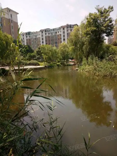 金城花园(张家港),暨阳西路68号-苏州金城花园(张家港)二手房,租房,房