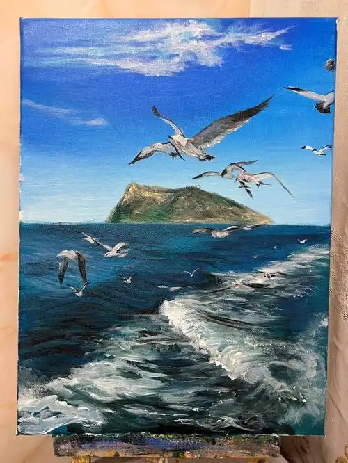 丙烯画海鸥零基础入门