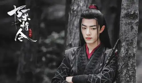 《陈情令》就是其中之一,这是有肖战,王一博主演的电视剧,两位主演也
