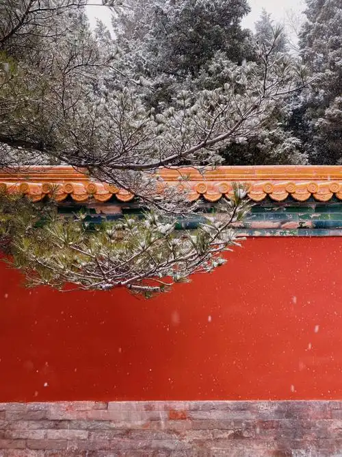 3月18日 踏雪寻春颐和园