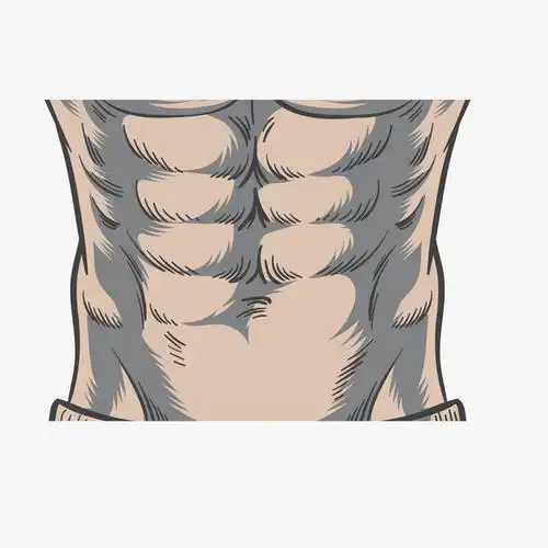 卡通人体腹肌设计素材