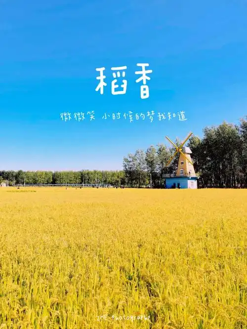 稻香乡间的歌谣最初的美好