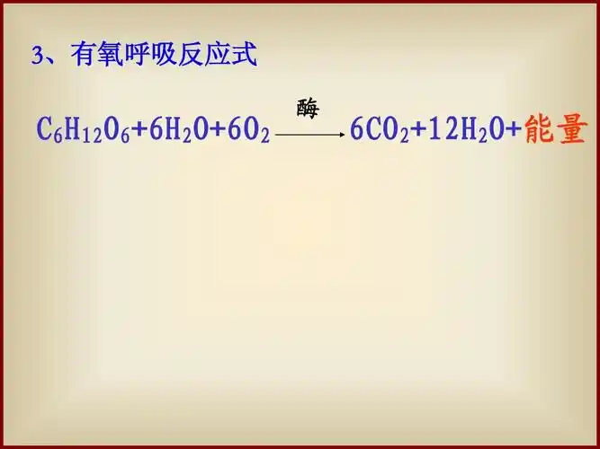 3,有氧呼吸反应式 c6h12o6 6h2o 6o2 酶 6co2 12h2o 能量