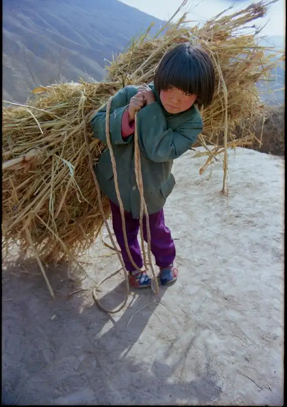 【转载】告诉你一个真实的中国农村(组图)