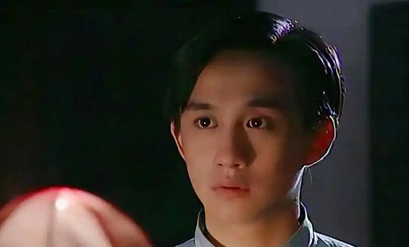 黄磊:现在大多数人对黄磊的印象应该是"综艺咖","黄小厨",但黄磊年轻