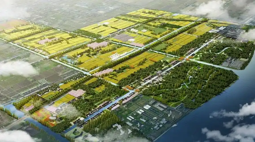 奉贤区庄行镇2035规划蓝图揭开面纱,跟着小编一起来看看吧