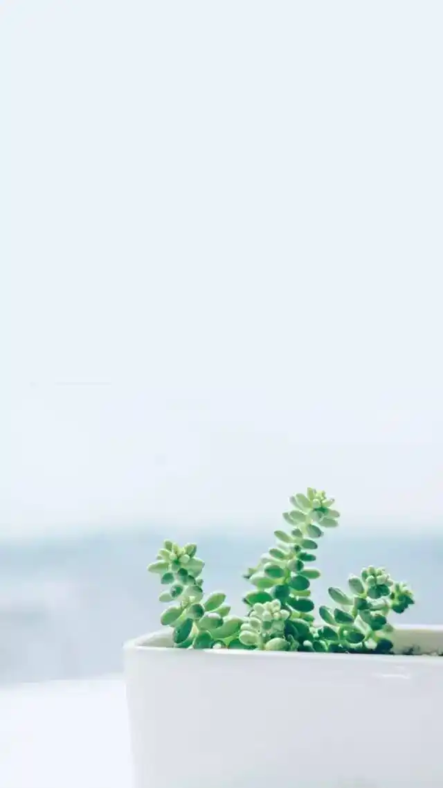 一大波简约治愈系壁纸