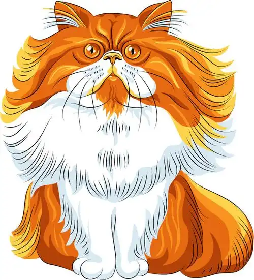 可爱的红色毛茸茸的波斯猫图片下载