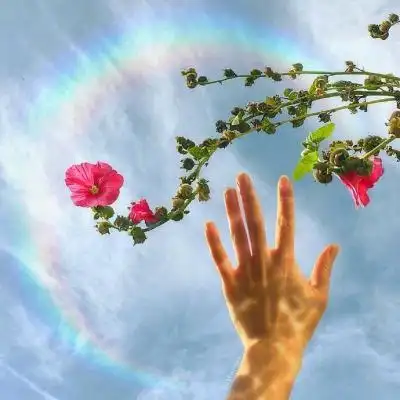 微信好运花朵头像女 好运会与你不期而遇_微信头像_我要个性网