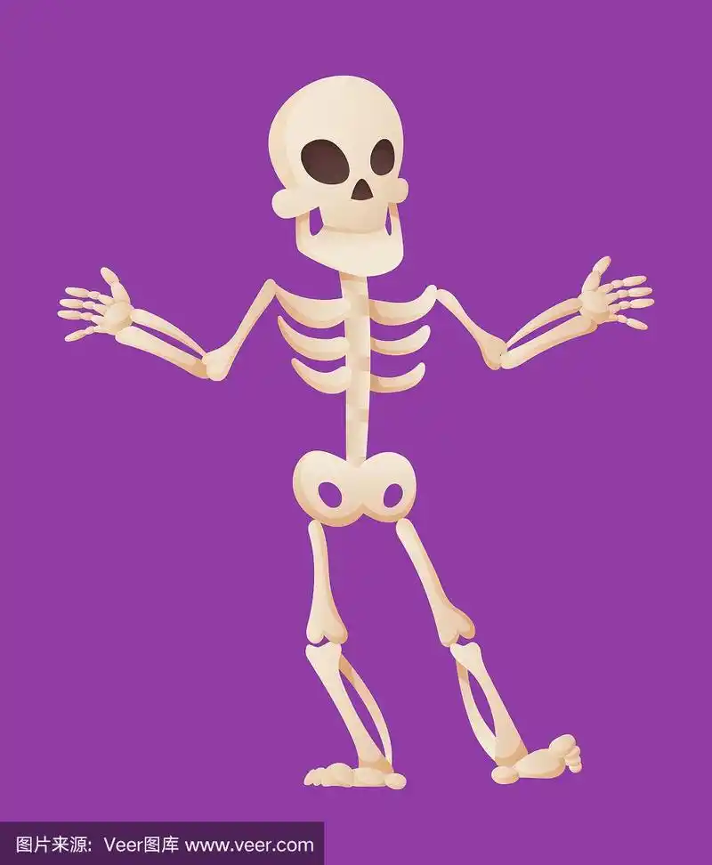 滑稽的卡通骷髅展开他的双手.向量的性格.人体骨骼插图骨骼.