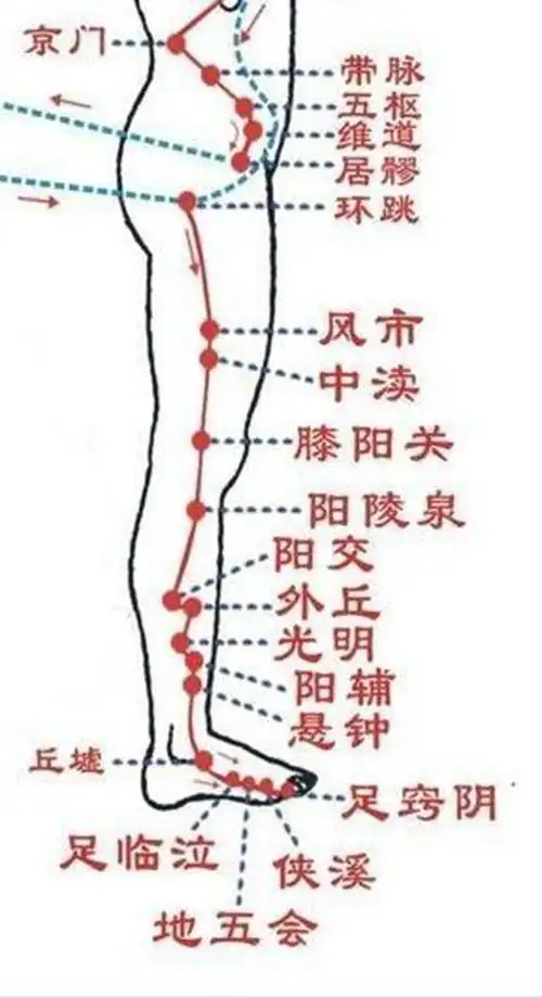 小腿穴位阳陵泉是在哪个位置图片