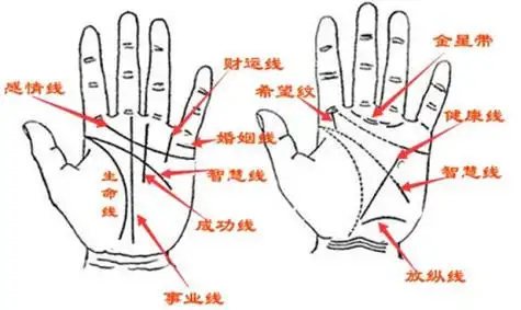 看手相算命图解大全如何看手相_怎么看手相算命图解-善吉网