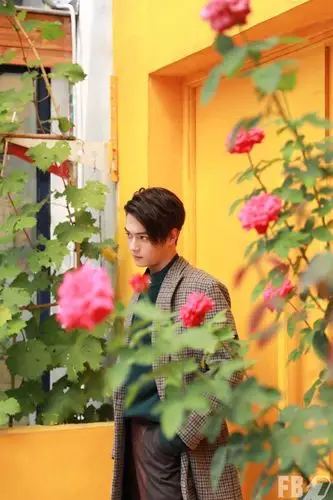 许凯- 堆糖,美图壁纸兴趣社区