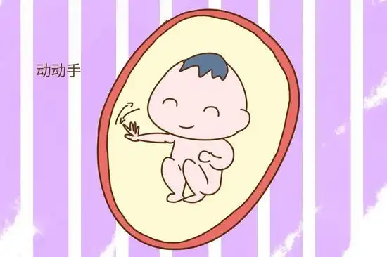 你怀孕时宝宝胎动是什么样的?我的像波浪蠕动一样