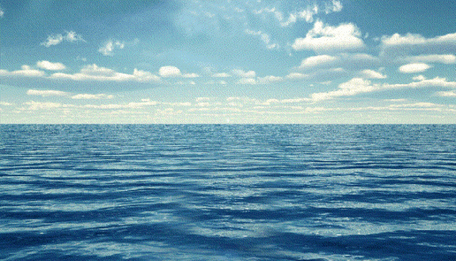 荒野求生探秘海洋科学疯狂冒险岛20我们又来了