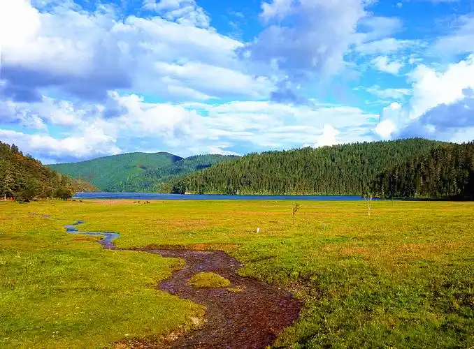 下船后又经过个大草甸.