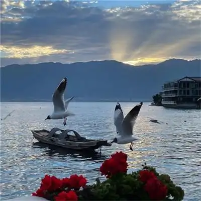 唯美治愈高级大自然风景头像图片 治愈系很有意境的图片头像2022_风景