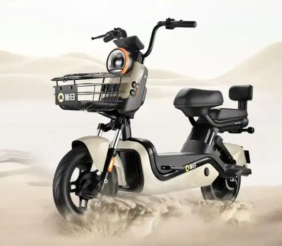 5款新品电动车亮相外观漂亮款式齐全48v60v72v全都有