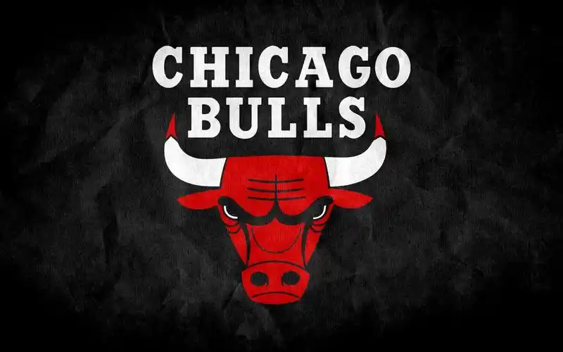 芝加哥公牛队标志 壁纸