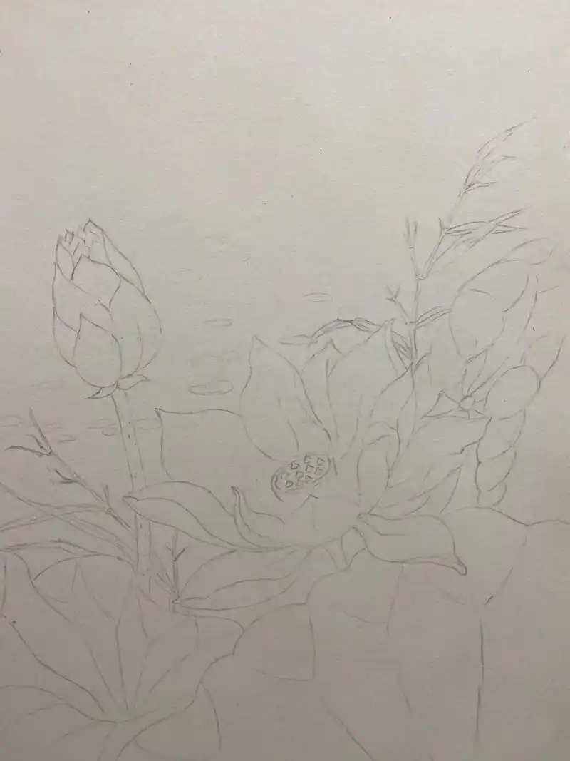画荷花真的需要静下心来,刚刚开始一笔一笔慢慢画,越是到最后越 - 抖