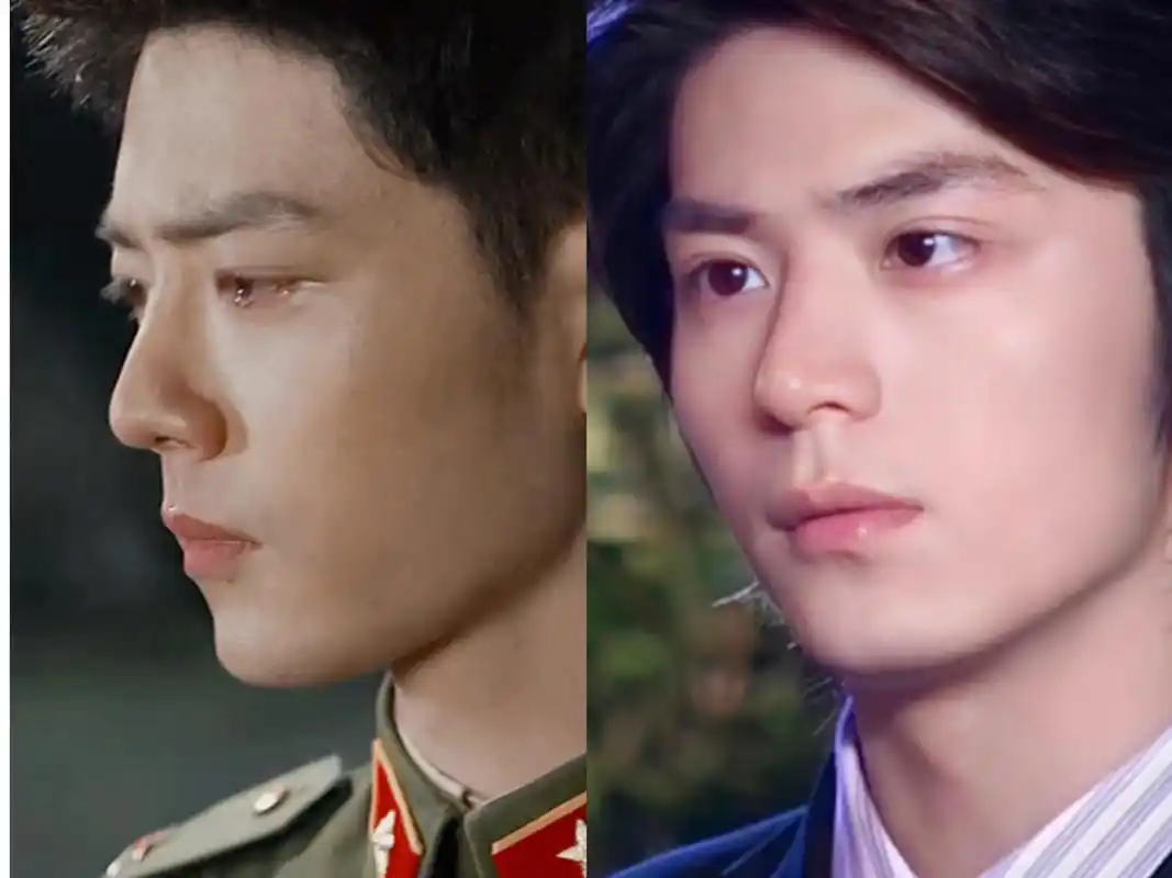 肖战能爆多少是有点"宛宛类卿"的幸运在里面的,他的长相和霍建华至少