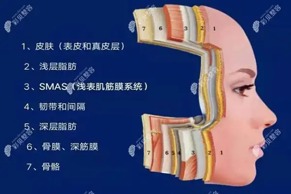 面部层次