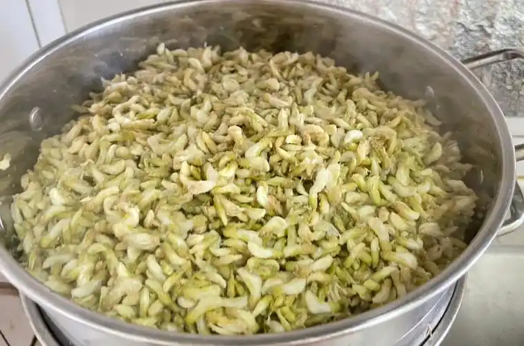 春季限定蒸槐花槐花最好的吃法鲜美